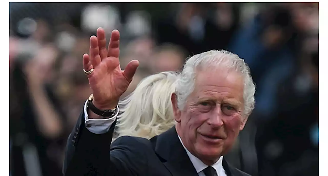 Police arrest 64 in London on Charles III's coronation day