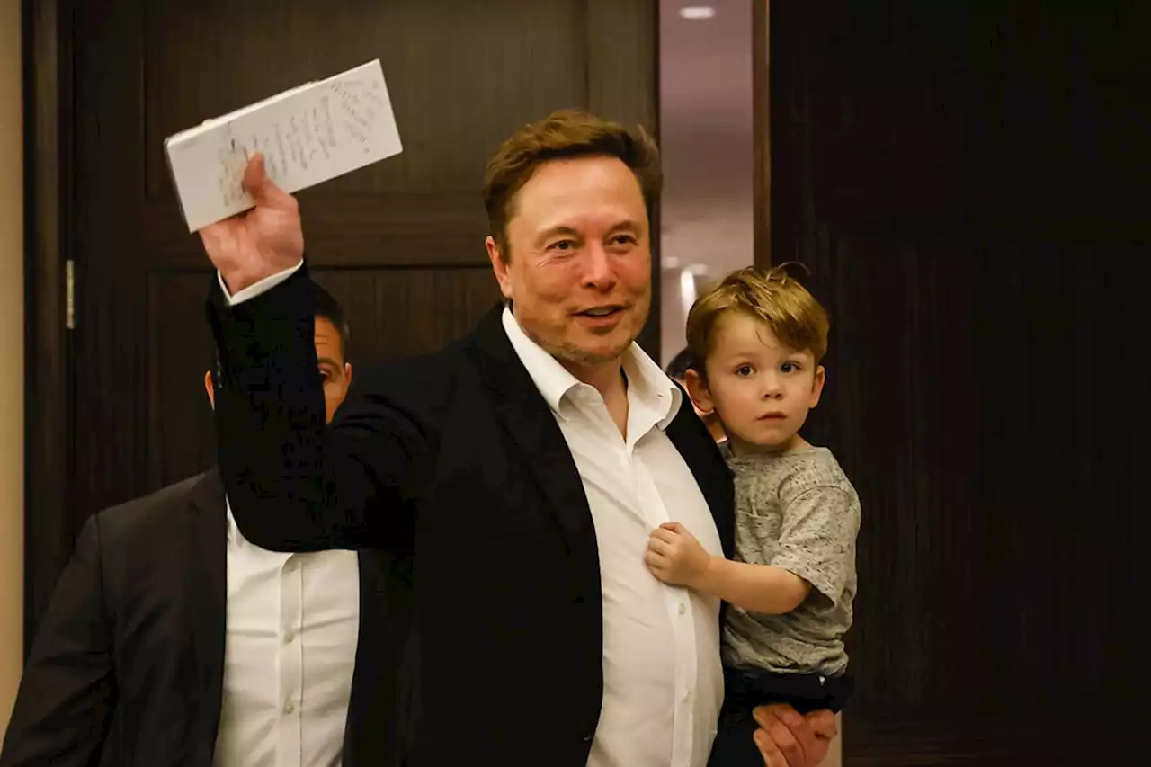 Big lie about Elon Musk’s South African childhood