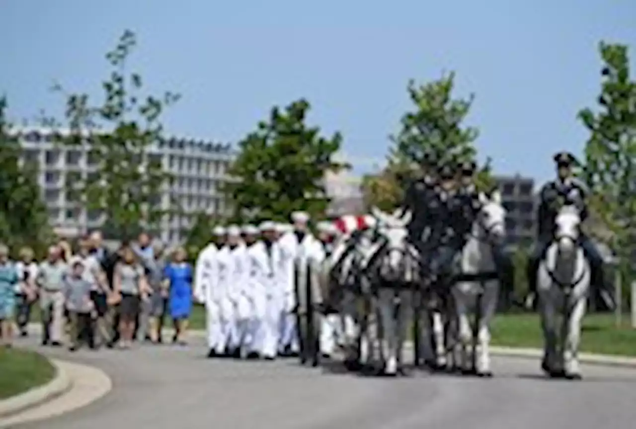 Military horses at Arlington Cemetery to take 45-day health break