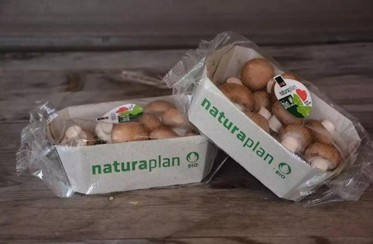 Der Umwelt zuliebe - Neue Verpackung bei Schweizer Bio-Champignons