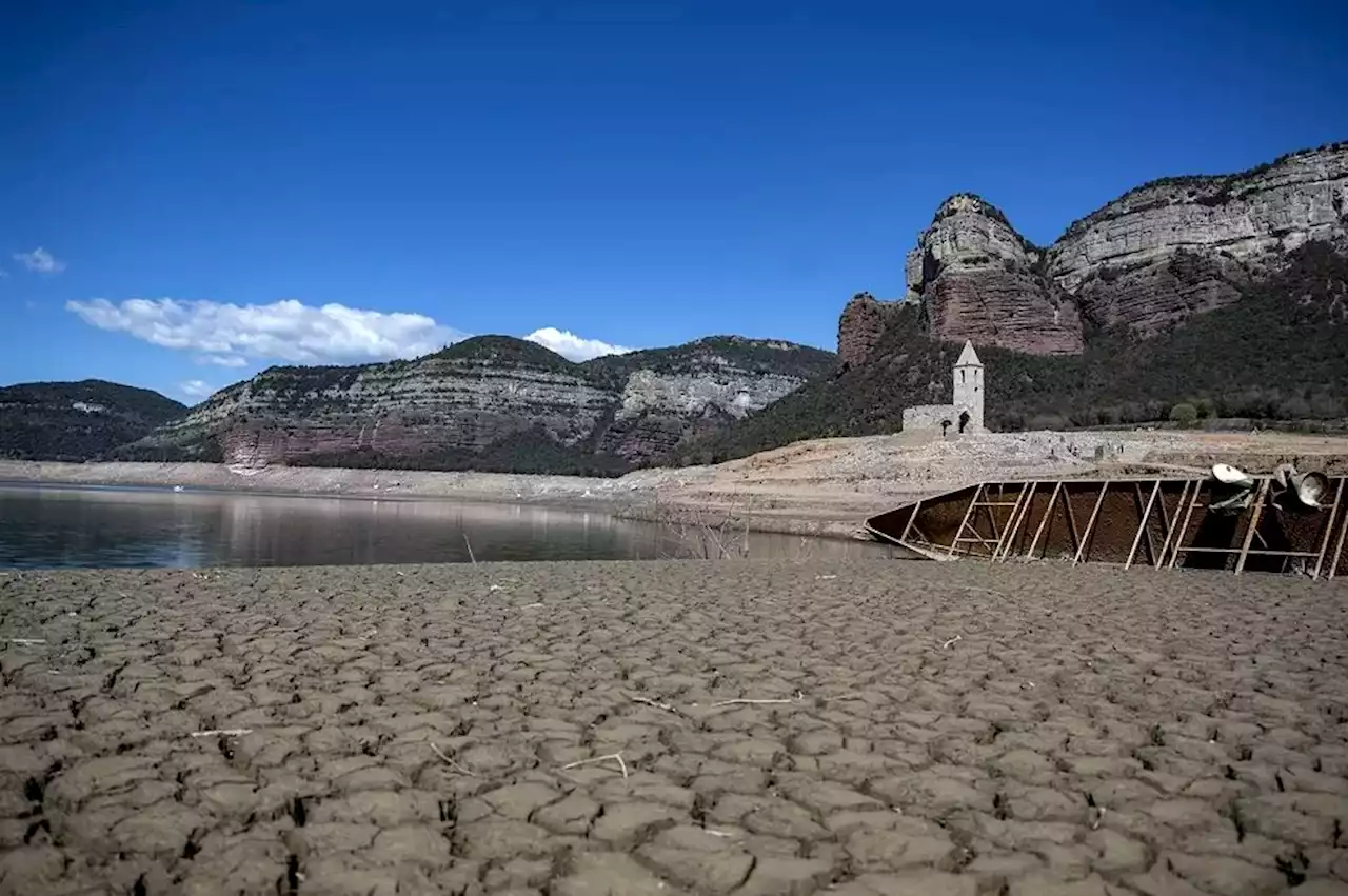 El agua debería entrar en campaña