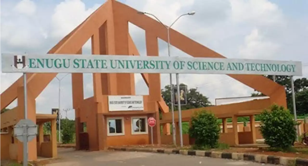 Enugu State University Students Plan Mass Protests Over Exorbitant School Fees | Sahara Reporters