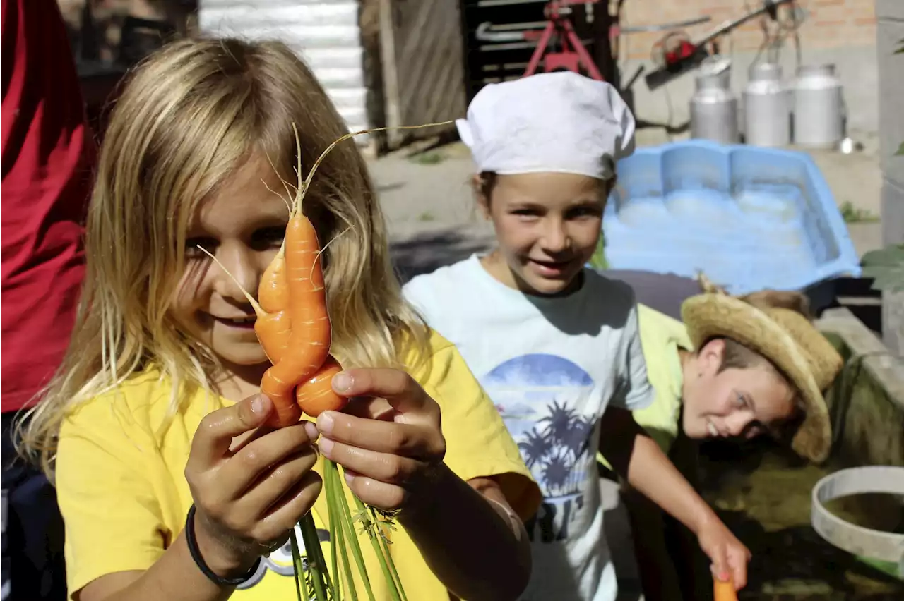 Kinder wollen Obst und Gemüse essen - Schweizer Bauer