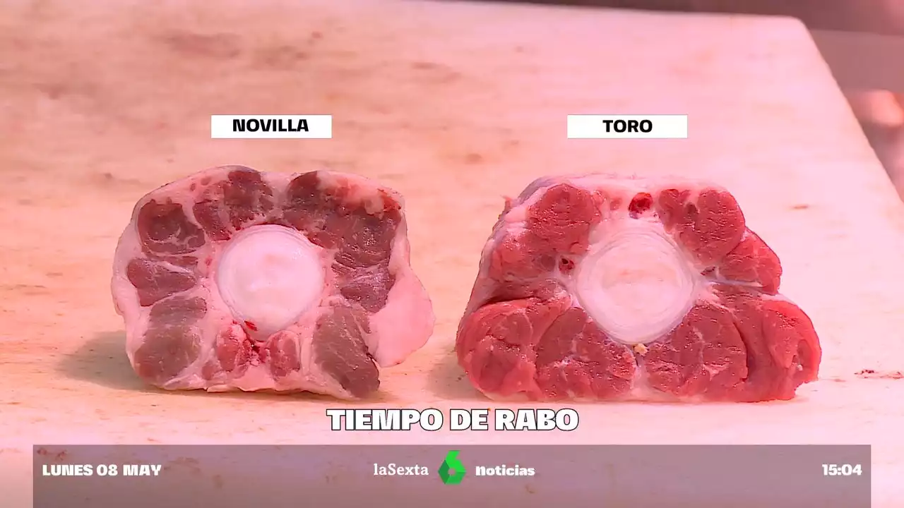 Todo lo que necesitas saber para comprar y cocinar el mejor rabo de toro