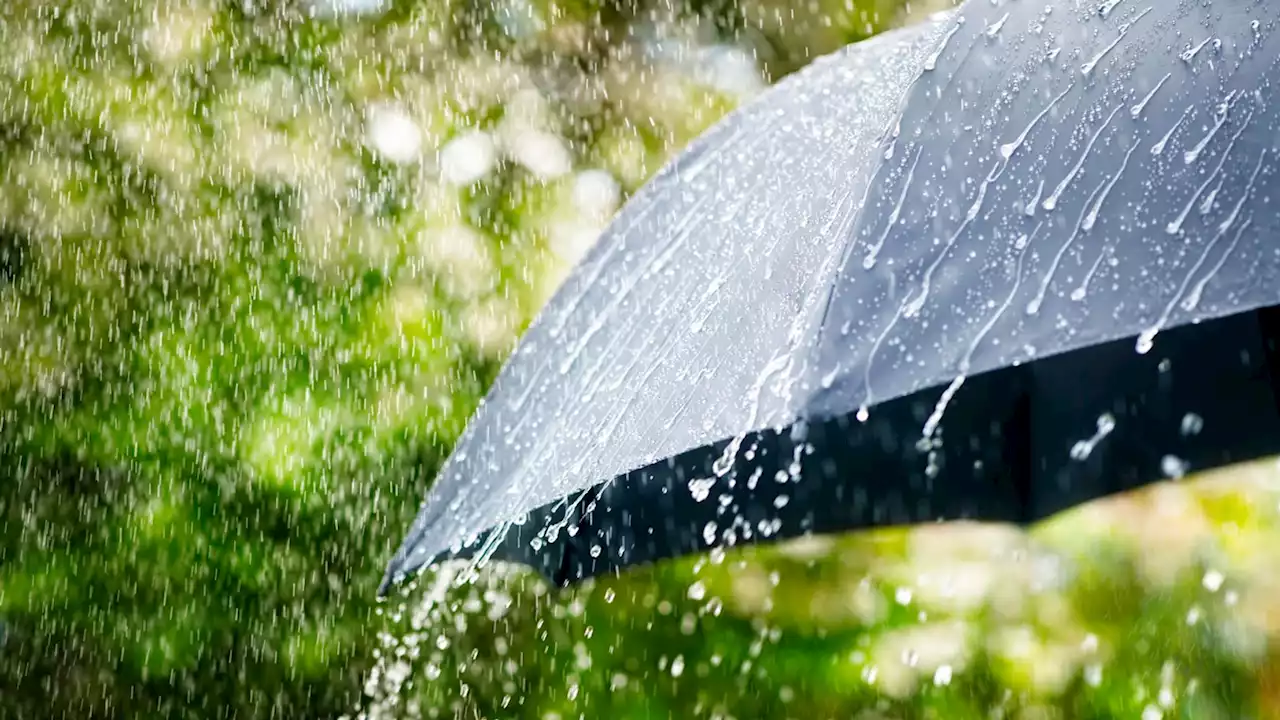 UK weather: Met Office issues yellow warnings for thunderstorms after hottest day of year so far