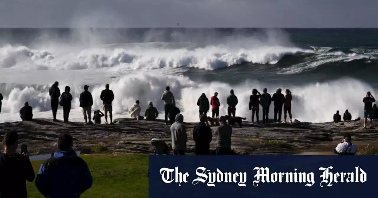 Flights cancelled, beaches closed as strong winds and cold weather lash Sydney