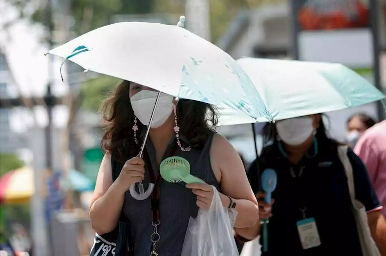 Brutal heat continues to grip Asia in warning for the world