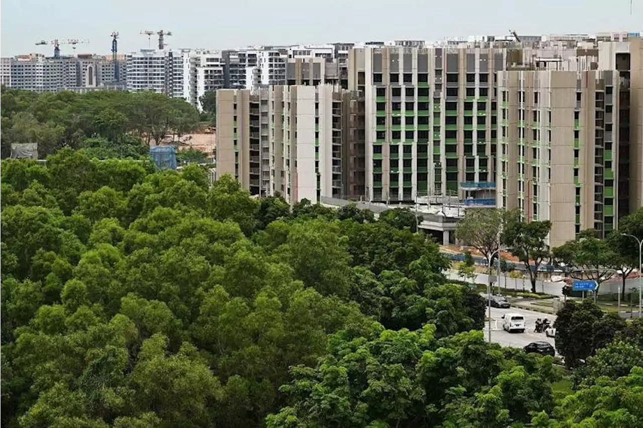 Changes to disbursement of housing grants, income assessment period for HDB buyers from Tuesday