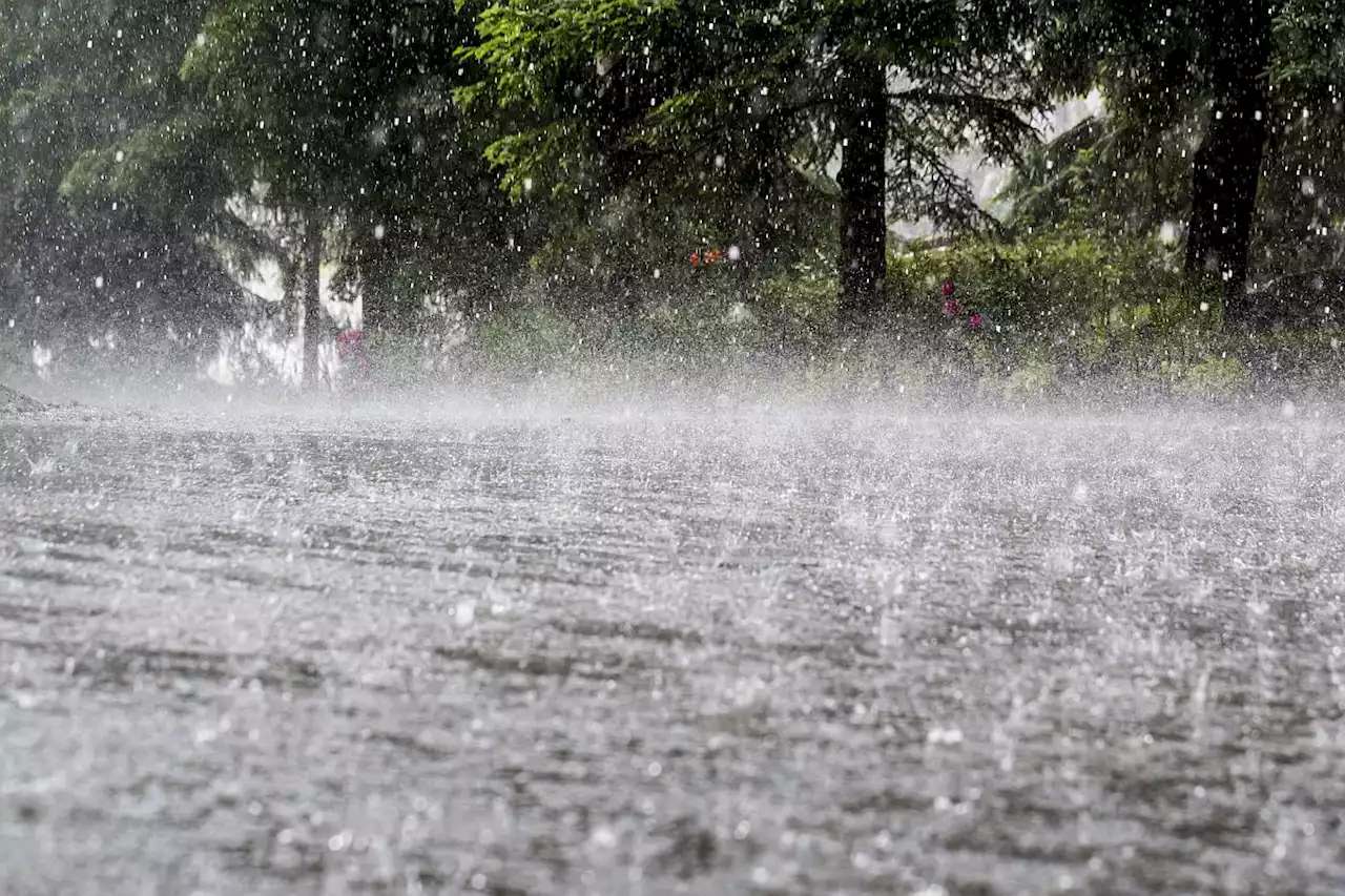 KZN flood warning: Authorities on high alert amid torrential rain | The Citizen