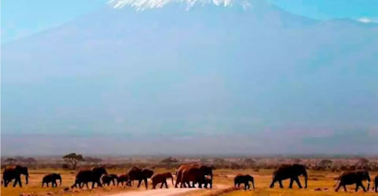 Japanese girl, 11, prepares to climb MT. Kilimanjaro