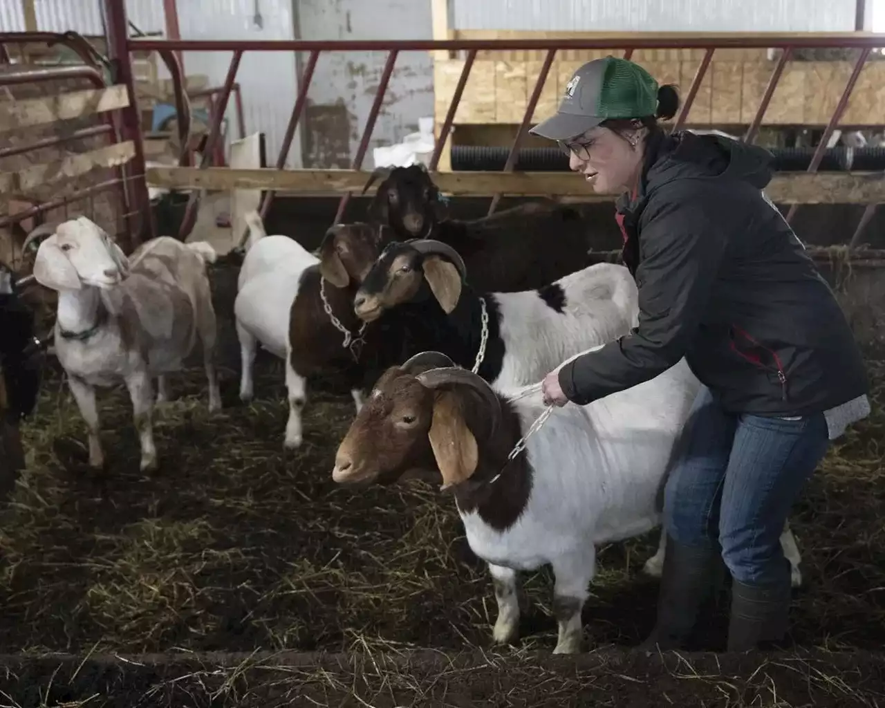 High costs putting farming out of reach for young people, affecting all Canadians