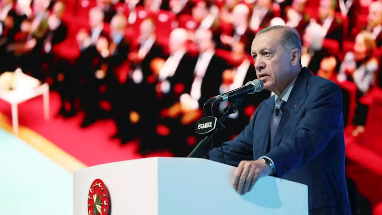 Türkiye's President vows to 'drain terror swamp'