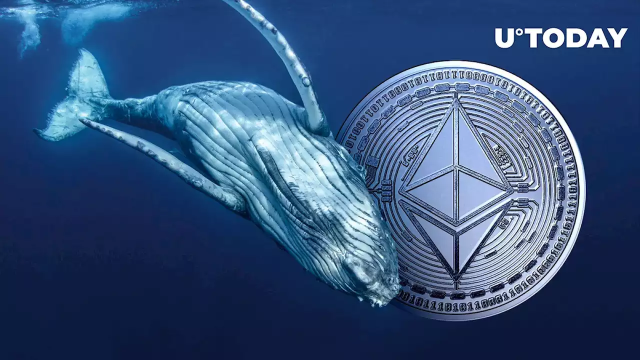 Ethereum Whales Are Panic Selling, What's Happening?