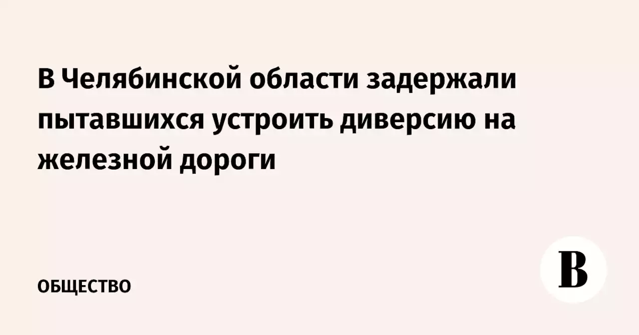 В Челябинской области задержали пытавшихся устроить диверсию на железной дороги