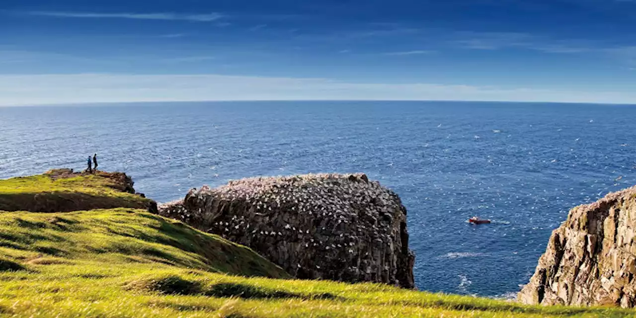 Cape St. Mary’s, Mistaken Point Ecological Reserves Open for Summer Season