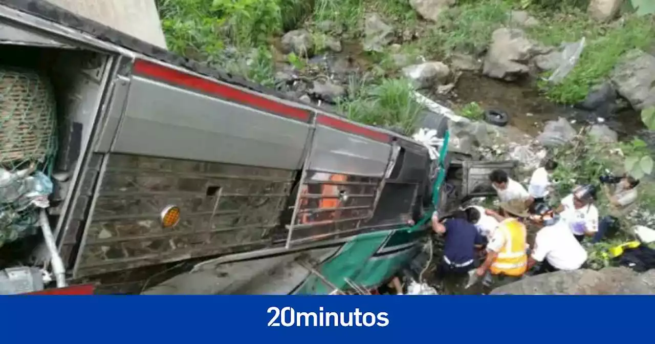 Un enjambre de abejas africanas ataca a los 45 ocupantes de un autobús que cayó al vacío: hay cuatro muertos por las picaduras