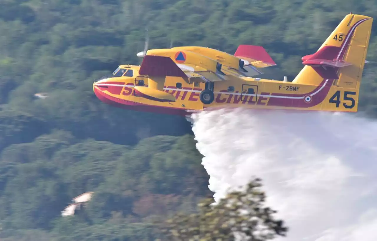 Un nouvel incendie détruit 30 hectares dans les Pyrénées-Orientales