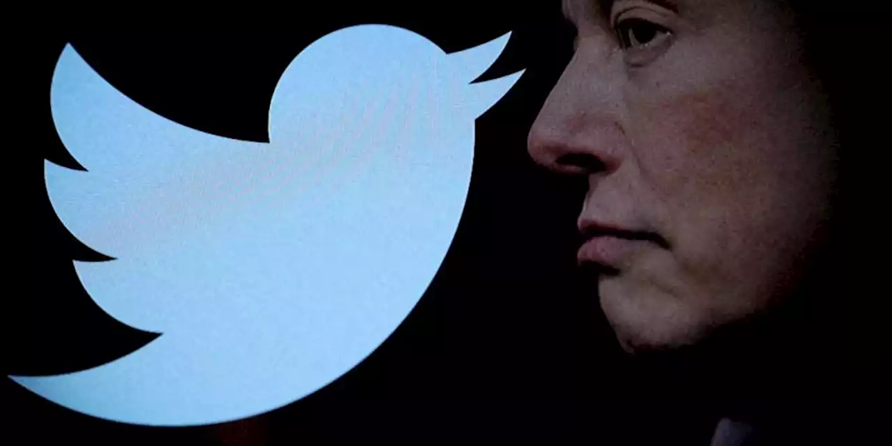 Elon Musk está eliminando cuentas de Twitter: cómo saber si la tuya corre riesgo