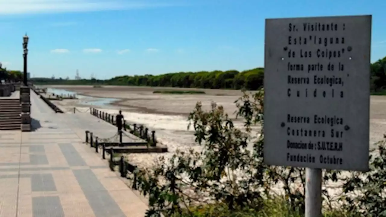 Una mujer denunció que sufrió abuso sexual en la Reserva Ecológica de Costanera Sur