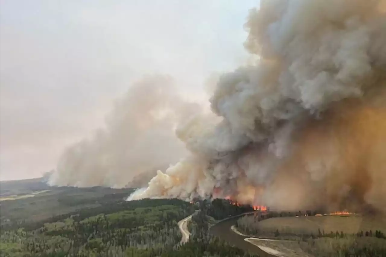 Alberta declares state of emergency over wildfires