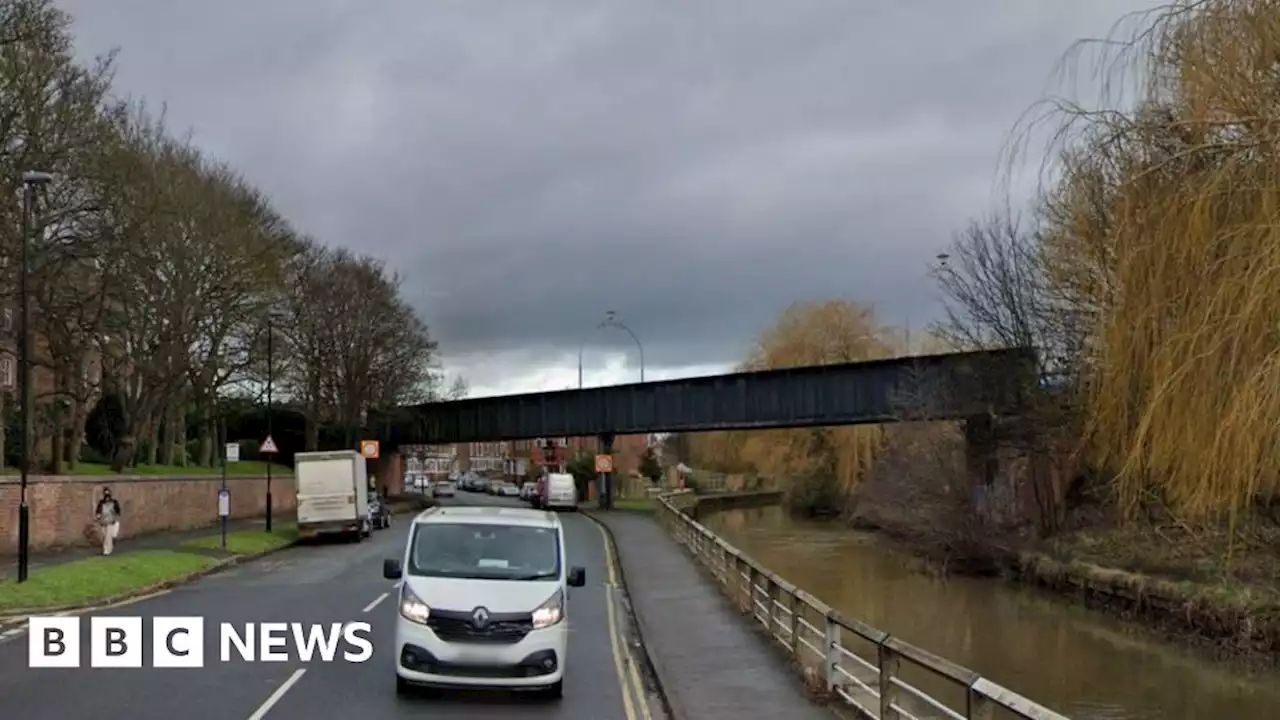 Dog dies after jumping from car hit by rocks in York