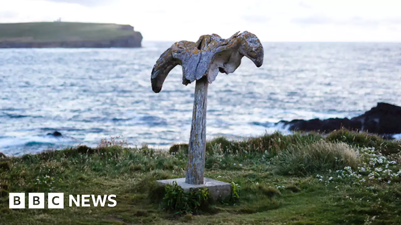 Beloved whalebone landmark on Orkney toppled by wind