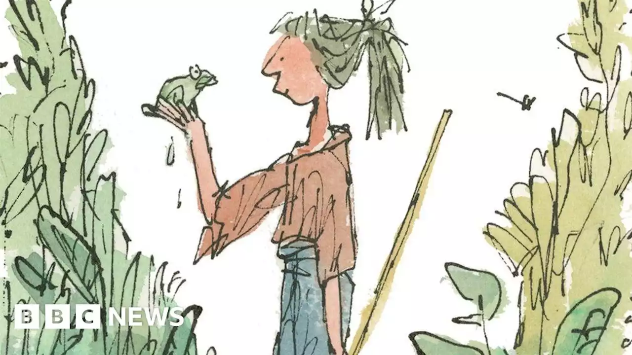 Sir Quentin Blake hopes to inspire with drawings at Slimbridge