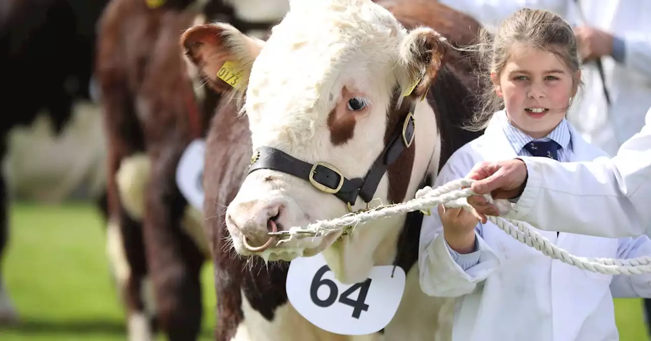 Details on Balmoral show opening times, traffic, parking and more