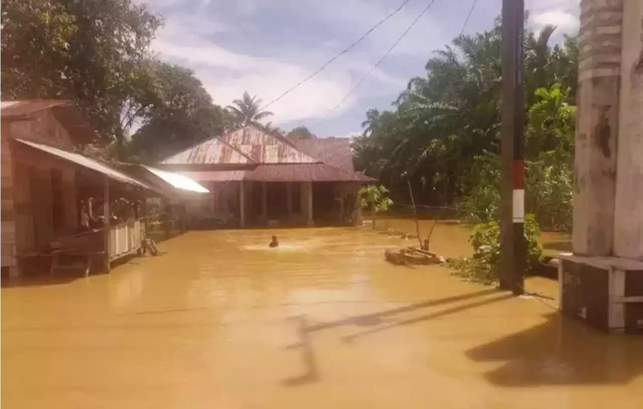 Banjir di Aceh Barat Meluas, 6 Kecamatan Terendam Air