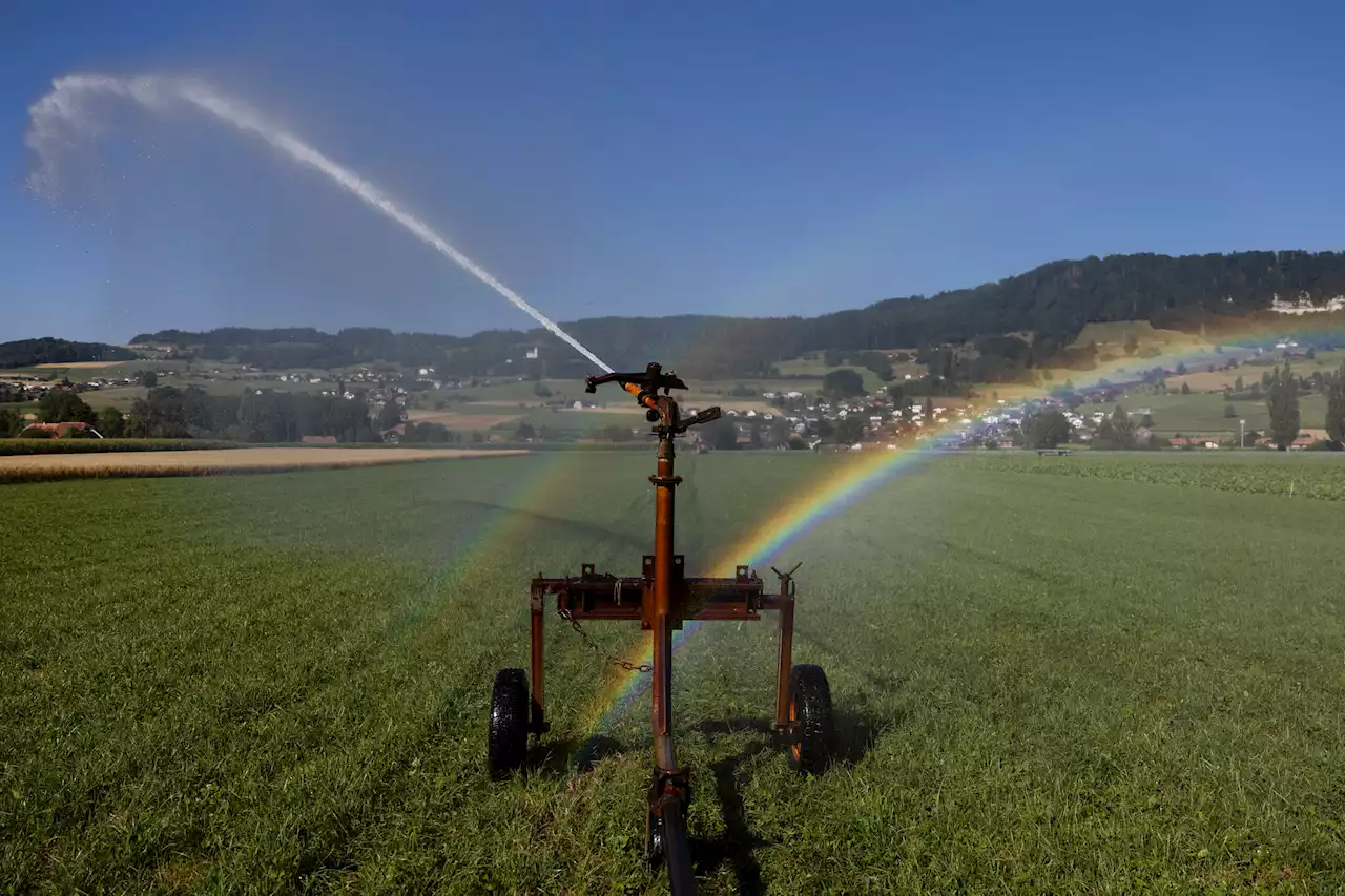 Landwirtschaft im Kanton Bern – Berner Bauern sind uneins beim Klimagesetz