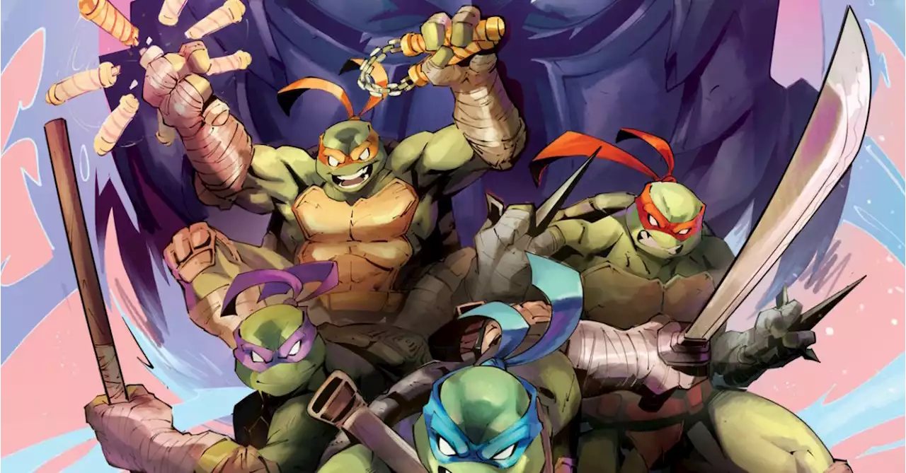 Teenage Mutant Ninja Turtles: Splintered Fate Gets Its Own Comic