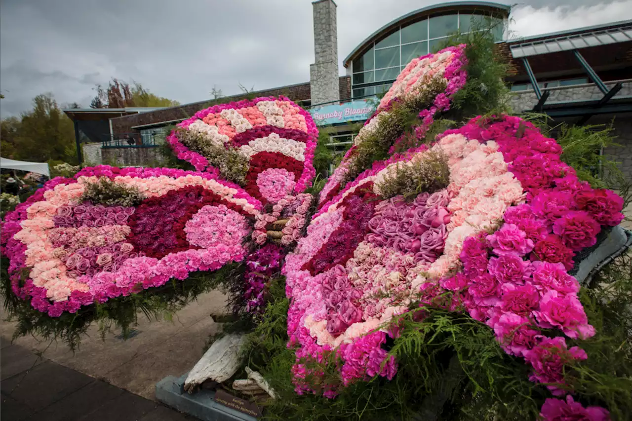 Celebrate the beauty of nature at Burnaby Blooms festival this weekend