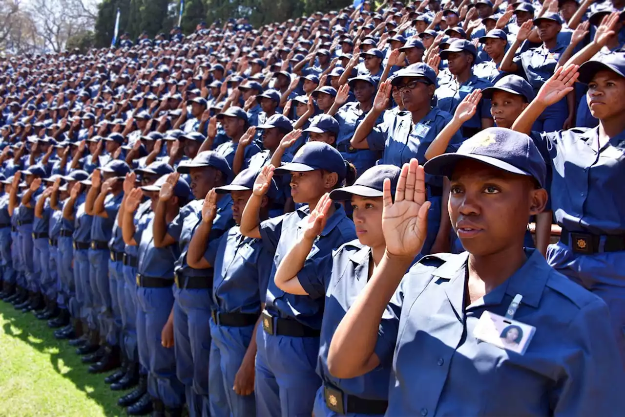 Private security guards outnumber police 4 to 1 in South Africa