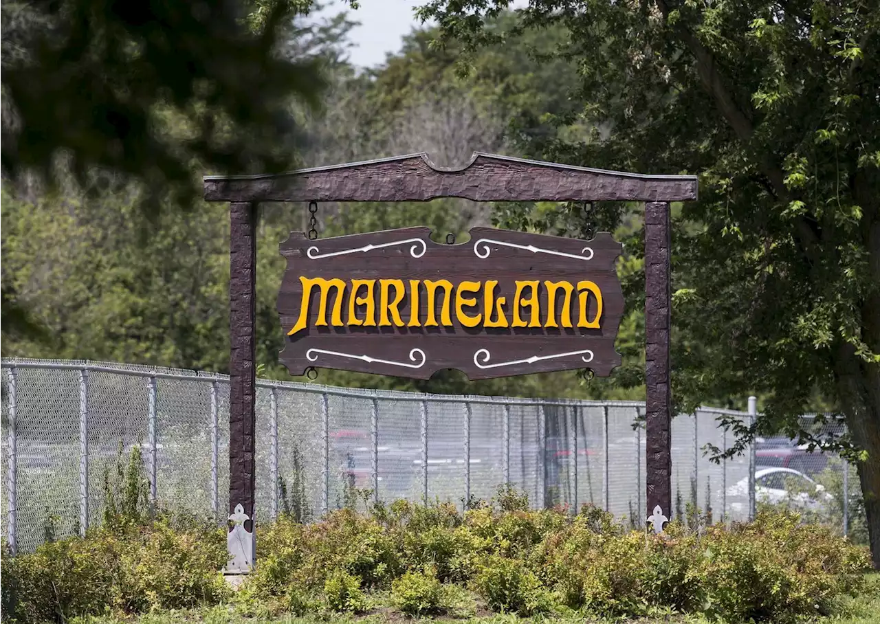 Beluga, dolphin die at Marineland, Ontario government says