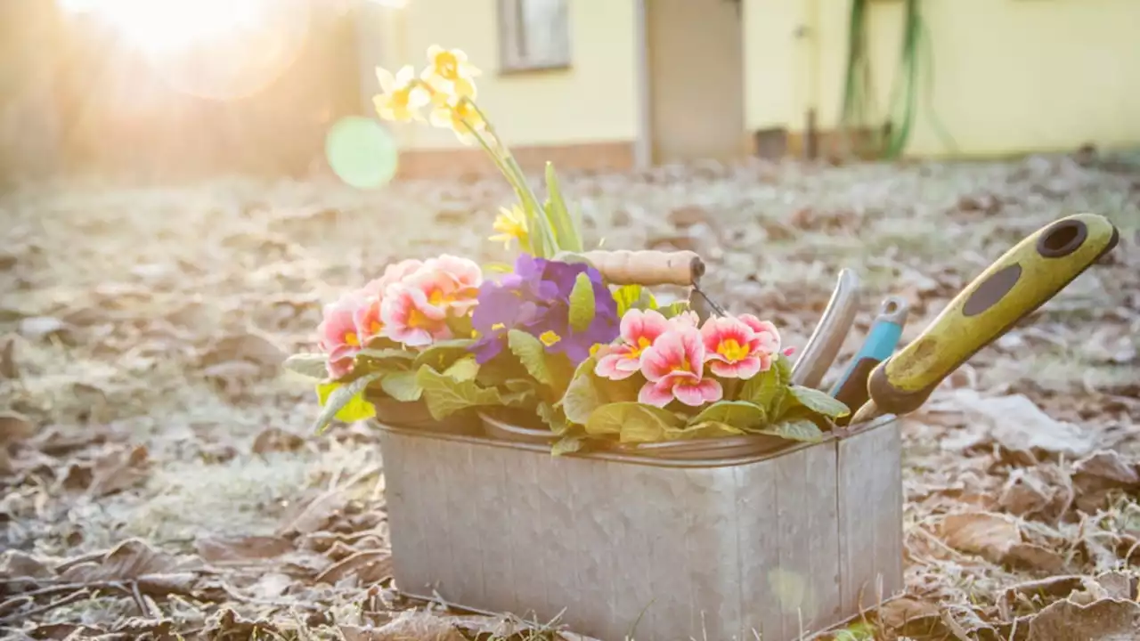 Muss ich im Garten und Balkon auf die Eisheiligen warten?