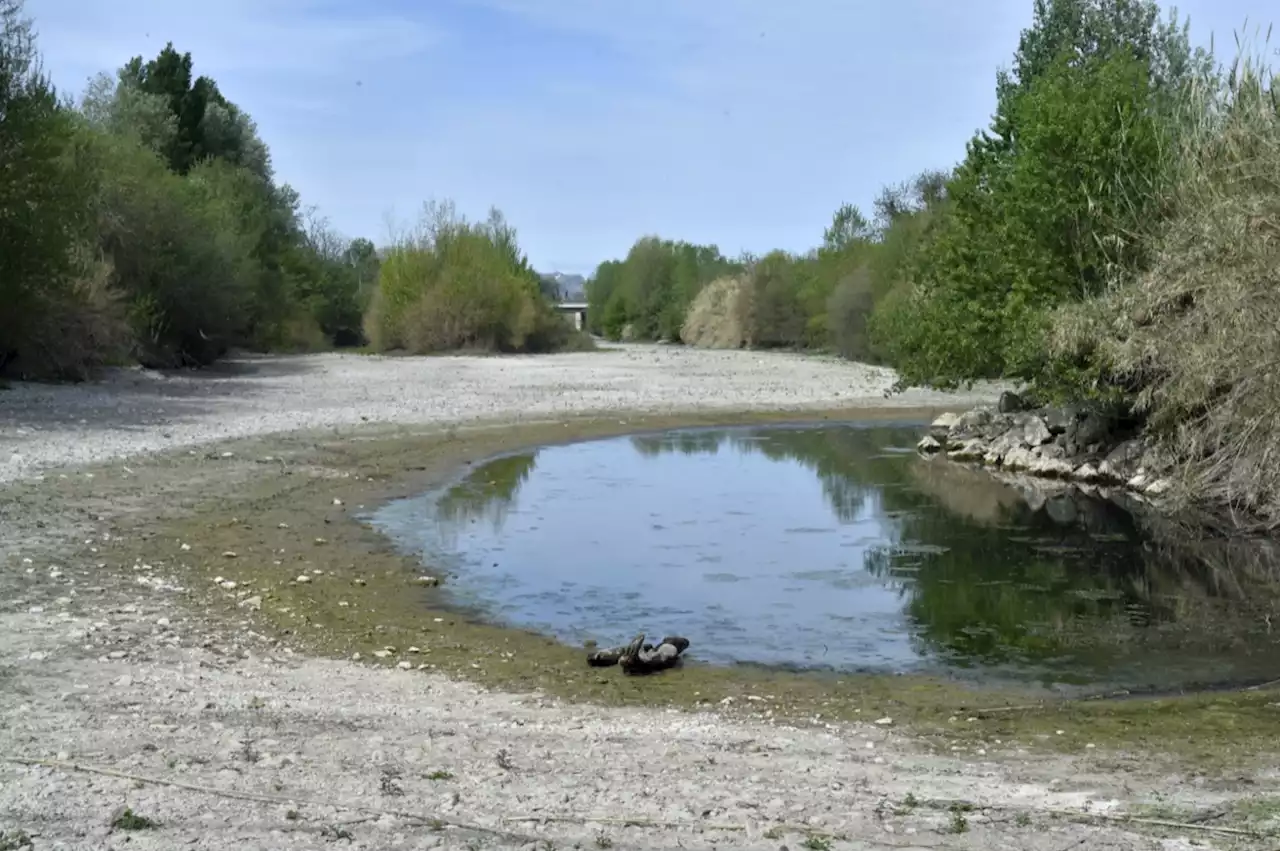 Sécheresse : les Pyrénées-Orientales en situation de «crise», de nouvelles restrictions annoncées