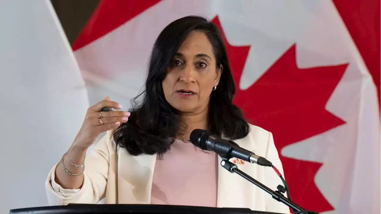 Defence minister says Canada wants to share advanced military technology with allies