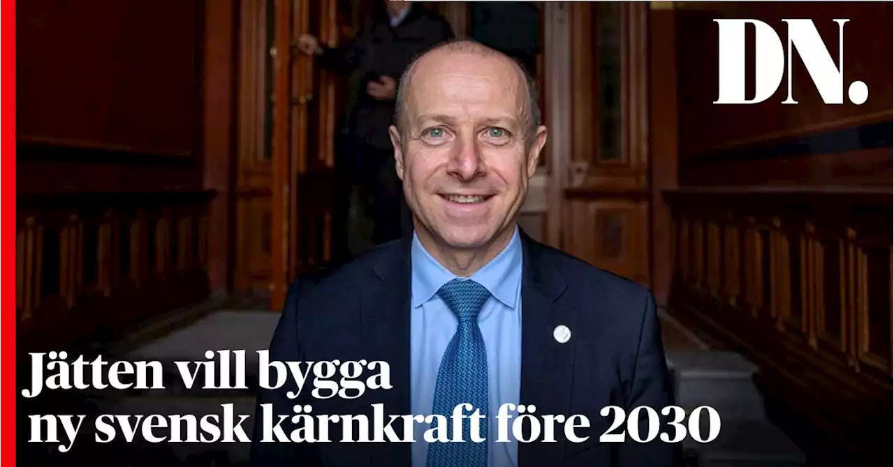 Jätten vill bygga ny svensk kärnkraft före 2030