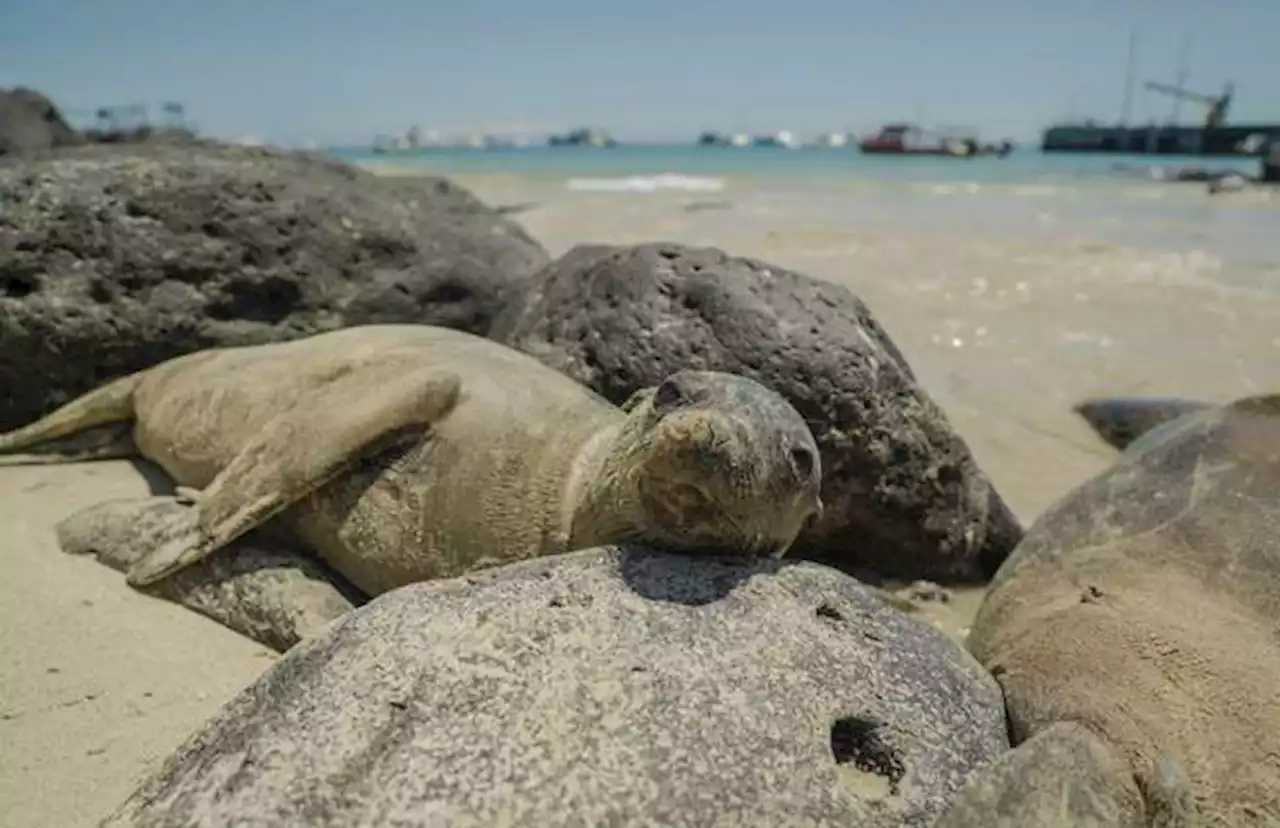 Ecuador realizó la mayor conversión de deuda por naturaleza del mundo