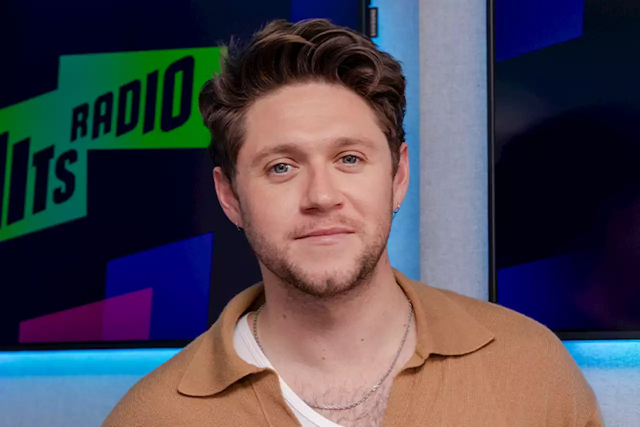 Niall Horan Is Torn Between Two Hollywood Actors He’d Want To Play Him In A One Direction Biopic: ‘Leonardo DiCaprio Or…’