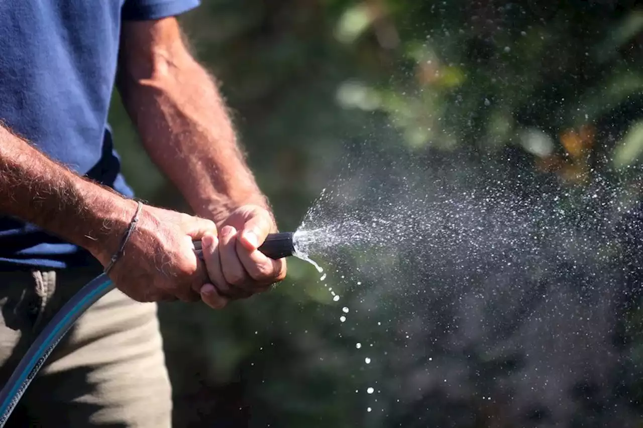 Sécheresse : piscines, douches, arrosage, quelle consommation d'eau pour les gestes quotidiens