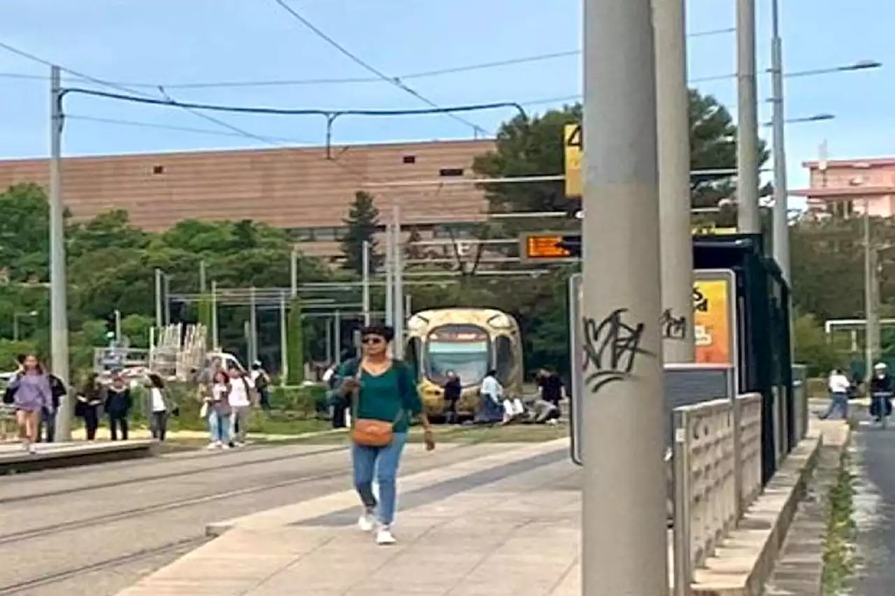 Un vélo percuté par un tramway à Montpellier, la circulation perturbée dans les deux sens