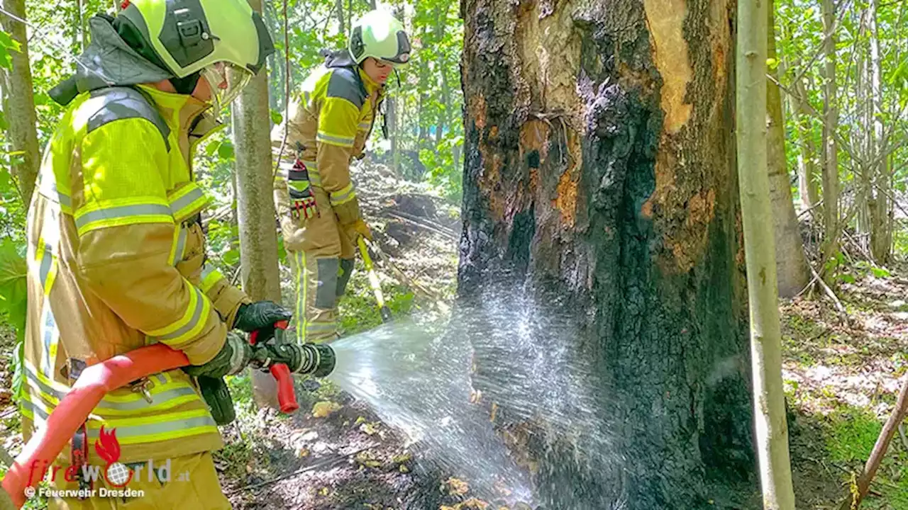 D: Mehrere kleinere Waldbrände in der Dresdner Heide