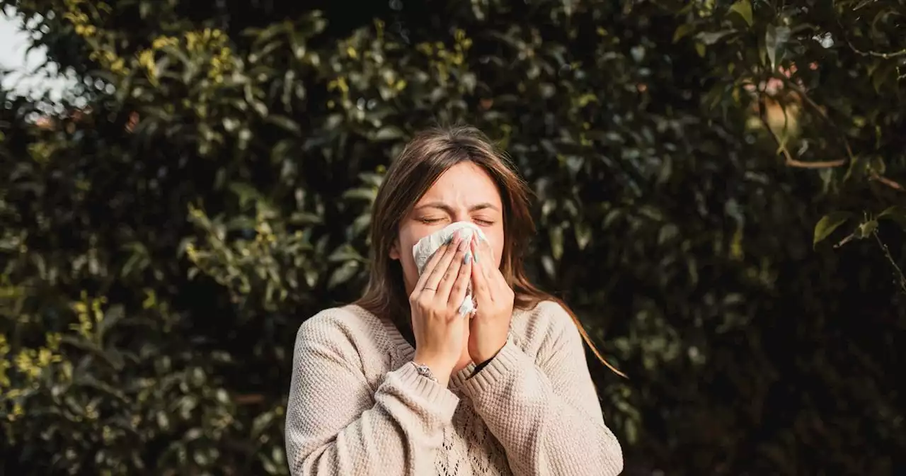 Glasgow Pollen Bomb and how to cope with seasonal allergies this year