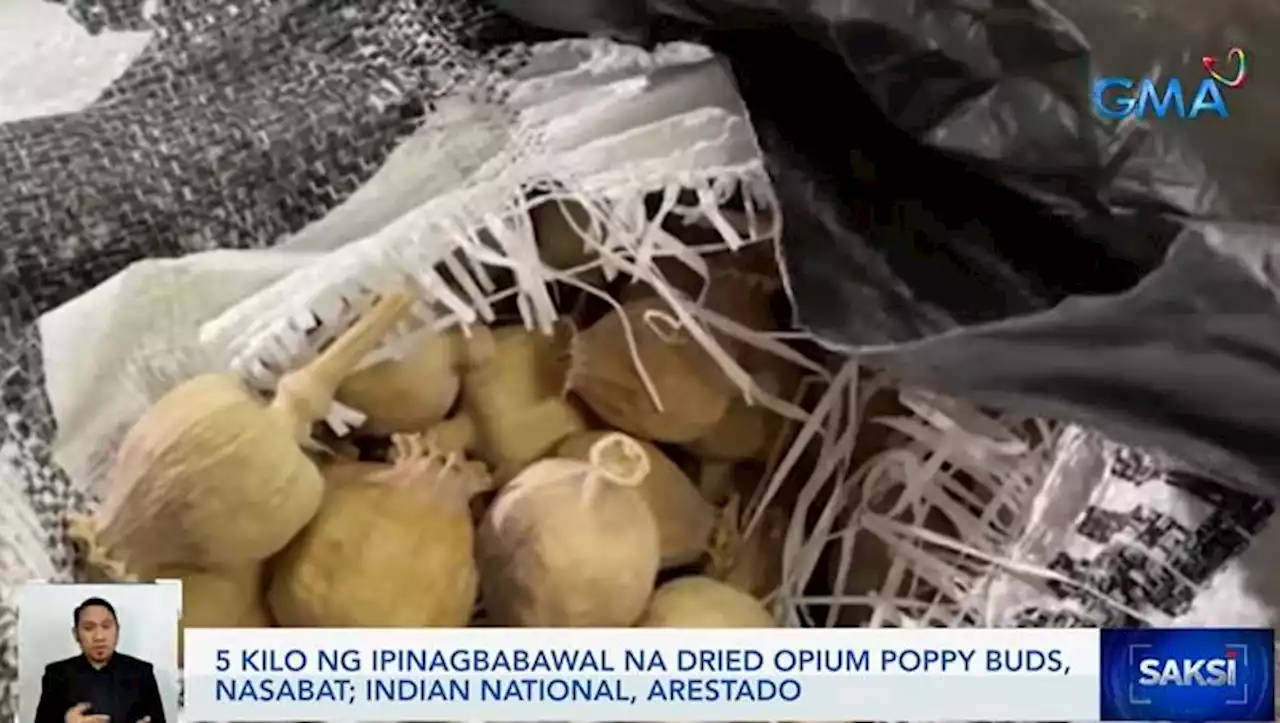 5 kilos of dried opium poppy buds seized at the NAIA