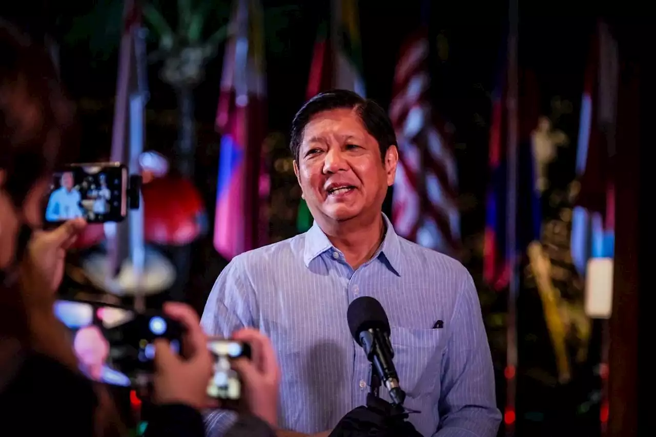 British Prime Minister's wife broke protocol for selfie —Marcos