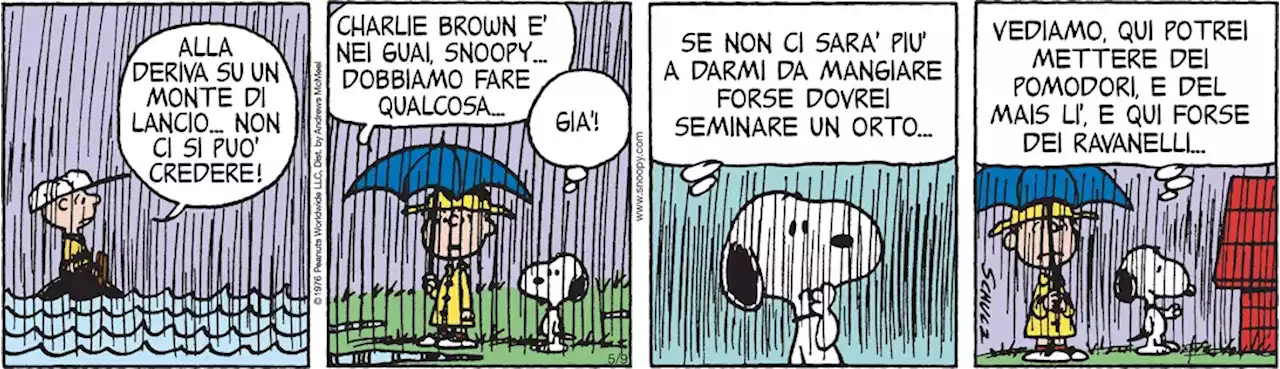 Peanuts 2023 maggio 09 - Il Post