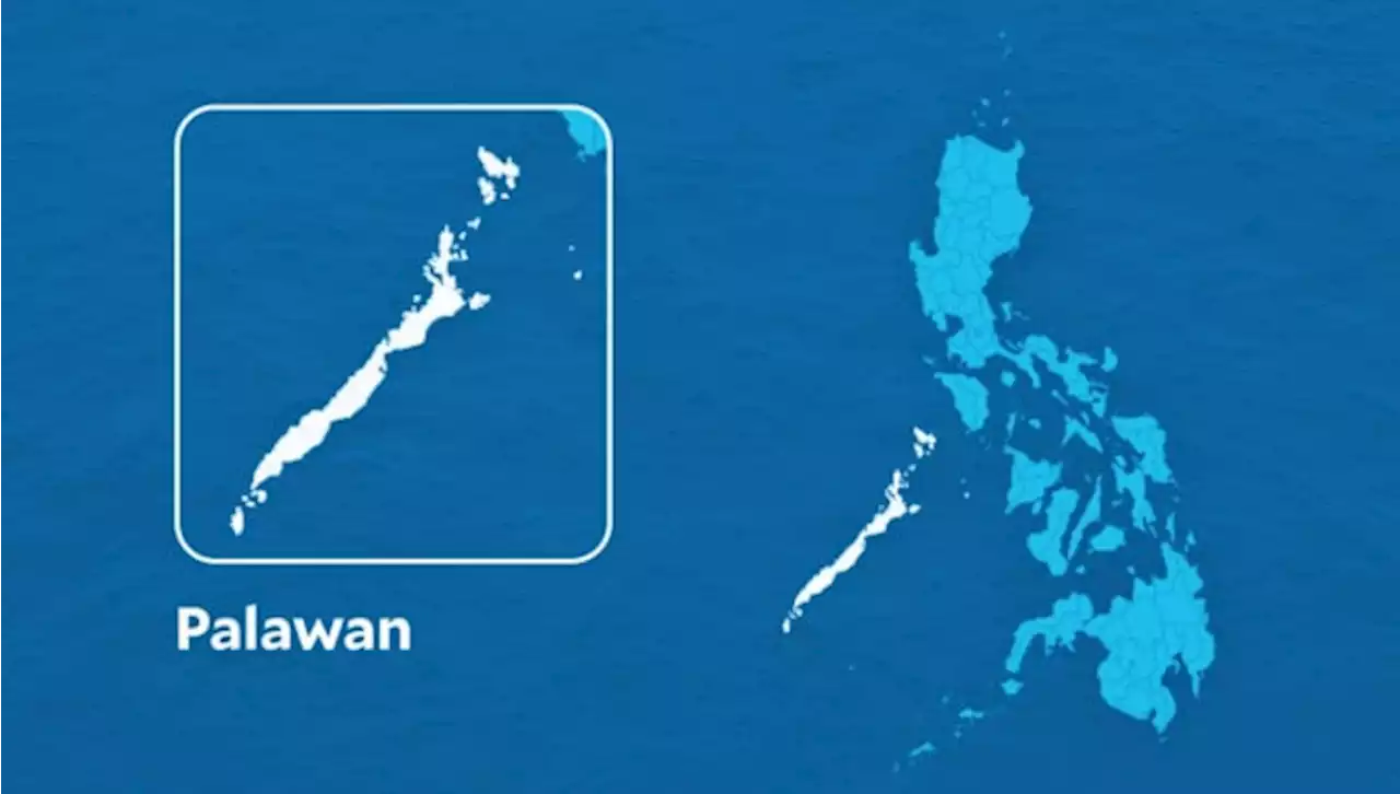 Vietnamese national slain, driver hurt in Palawan shooting