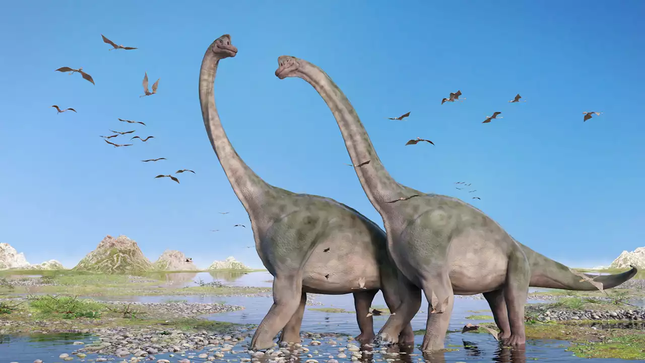 'Cope's Law' might be wrong as the sauropods evolved their giant sizes many times