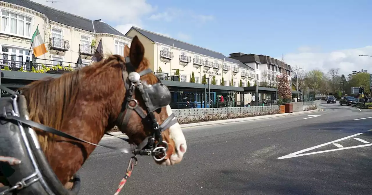 Killarney traders seek fresh thinking on accommodation amid bed shortage